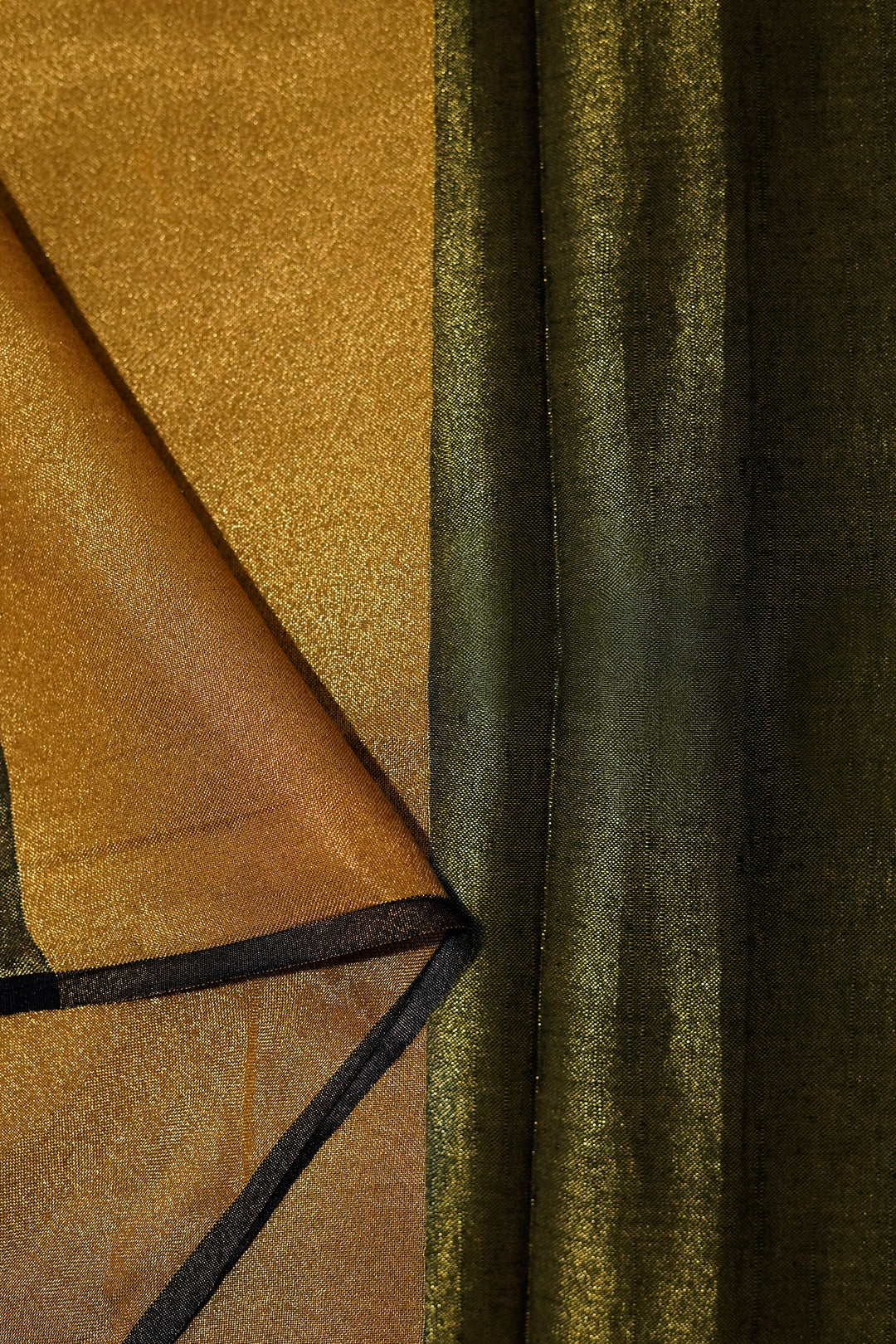 Teejh Shaurya Black Golden Tissue Silk Saree